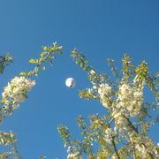 ciel et terre
